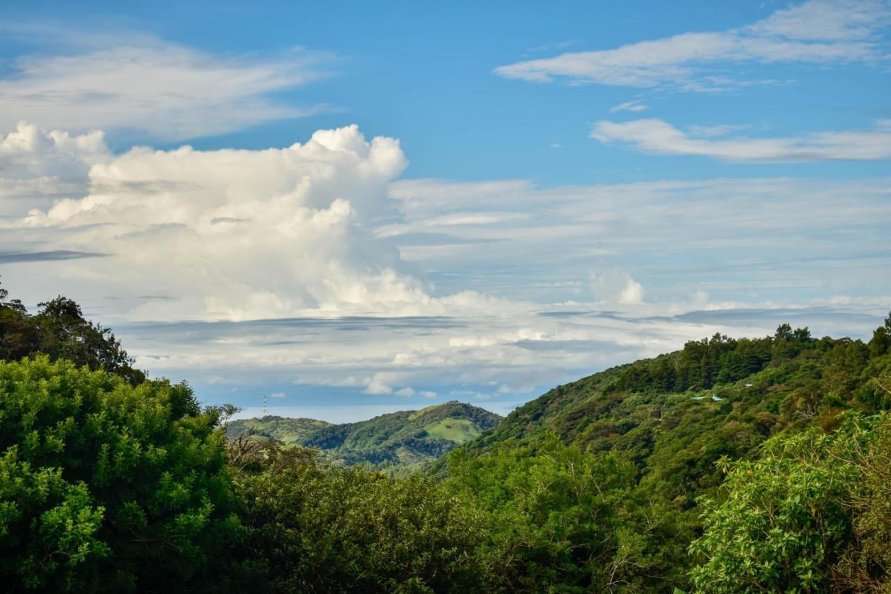 Cabinas Selva Verde Monteverde Kültér fotó